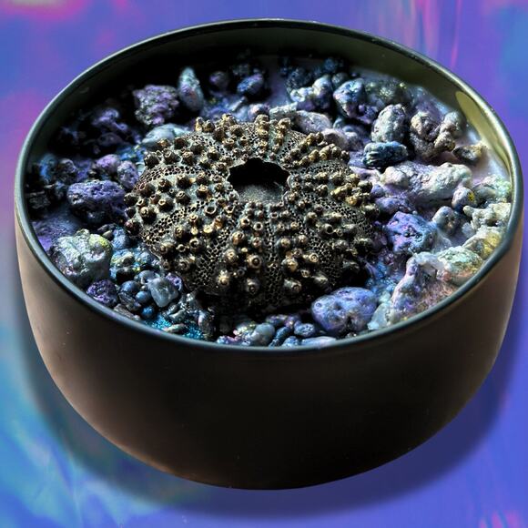 Beach Witch Luxury Wickless Candle:  Nostalgic Tropic Suntan Oil Scent - Picture 3 of 10